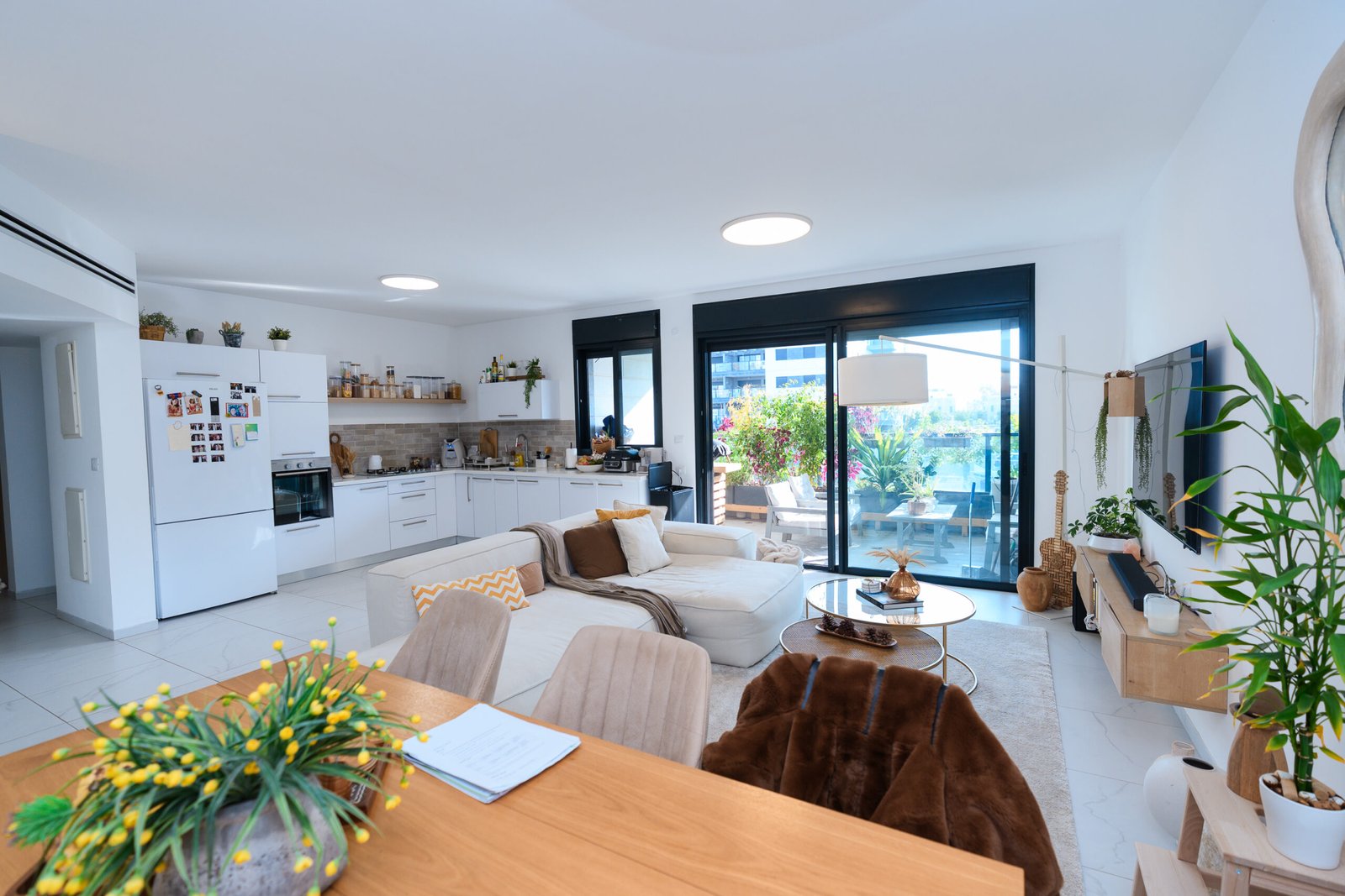 ספיר נדלן ינואר 2026-40